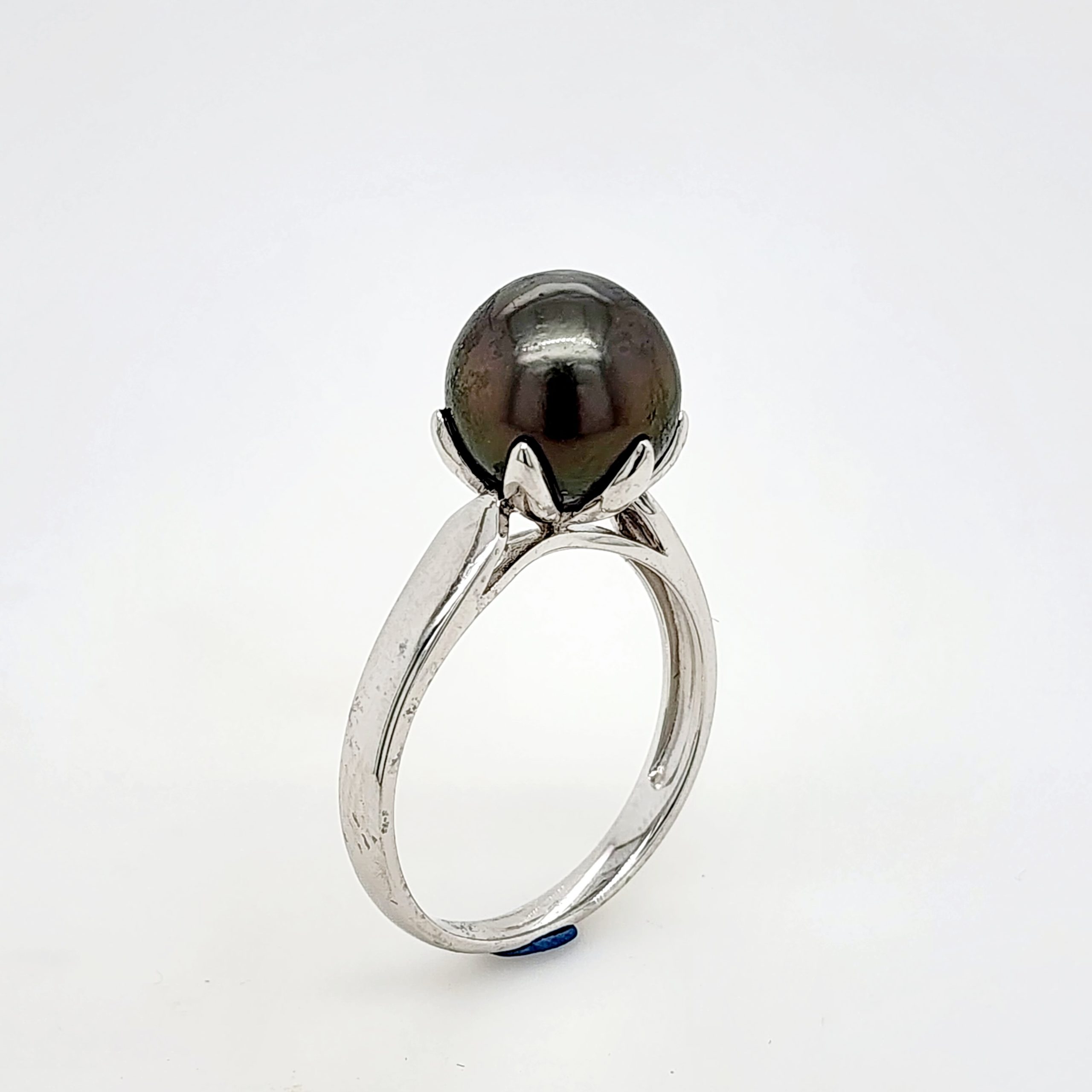 Sterling Silver 6 Claw Tahitian Black Pearl Ring Pearl Jewellery, Sterling Silver Pearl Jewellery 